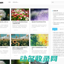 九思百科网