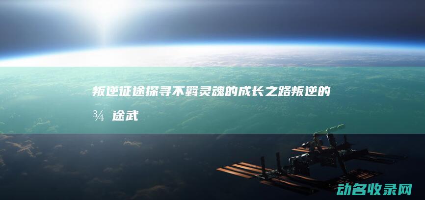 叛逆征途 探寻不羁灵魂的成长之路 (叛逆的征途武力排行)